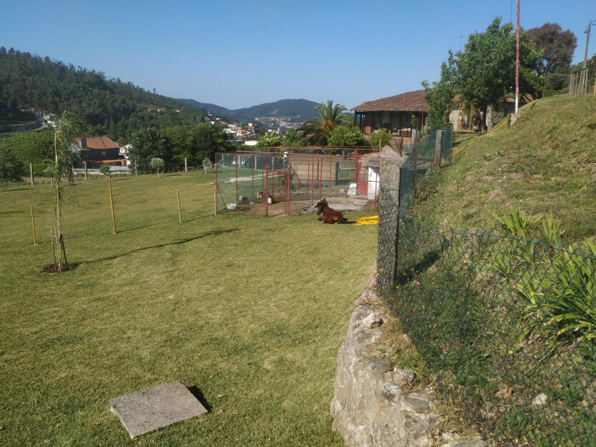 Quinta Dos Campos - Apartamento 2 Braga Kültér fotó